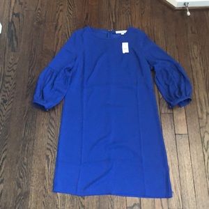 NWT Royal Blue Loft Dress